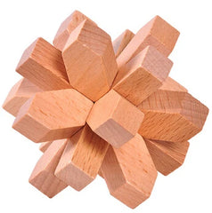 Beech Wood Wooden Burr Puzzles Interlocking Game for Adults KIds