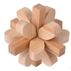 Classic 3D Wooden Puzzle Mind Brain Teaser Burr Puzzles Game for Adults Children Kids