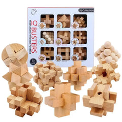 Classic Puzzle Mind Brain Teaser 2D 3D Wooden Puzzles Educational Game for Adults Children