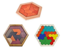 Classic Puzzle Mind Brain Teaser 2D 3D Wooden Puzzles Educational Game for Adults Children