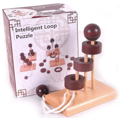 Classic Puzzle Mind Brain Teaser 2D 3D Wooden Puzzles Educational Game for Adults Children