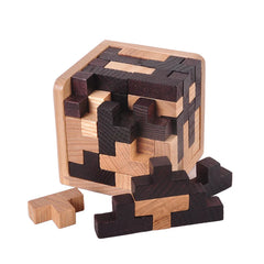 Classic Puzzle Mind Brain Teaser 2D 3D Wooden Puzzles Educational Game for Adults Children